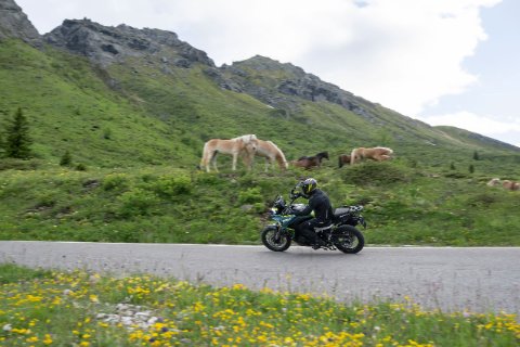 TRK 902 Xplorer 20